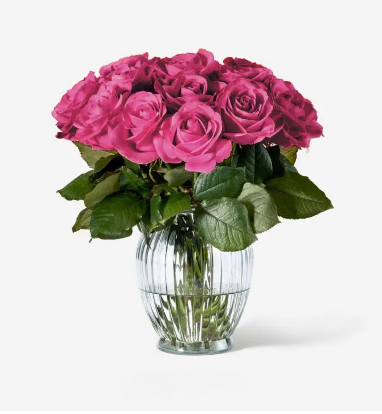 Roses in a vase