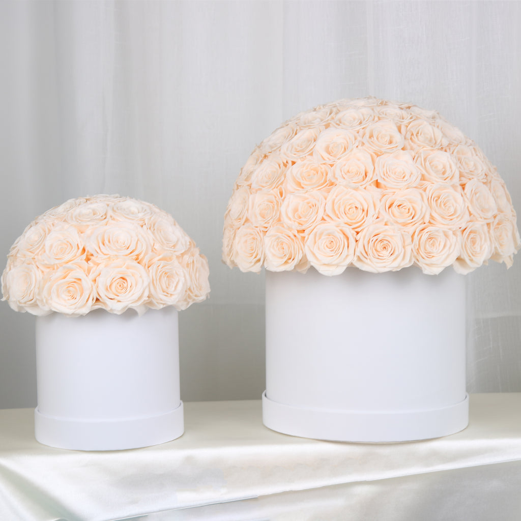 Forever Roses – Luxury Roses That Last for Years