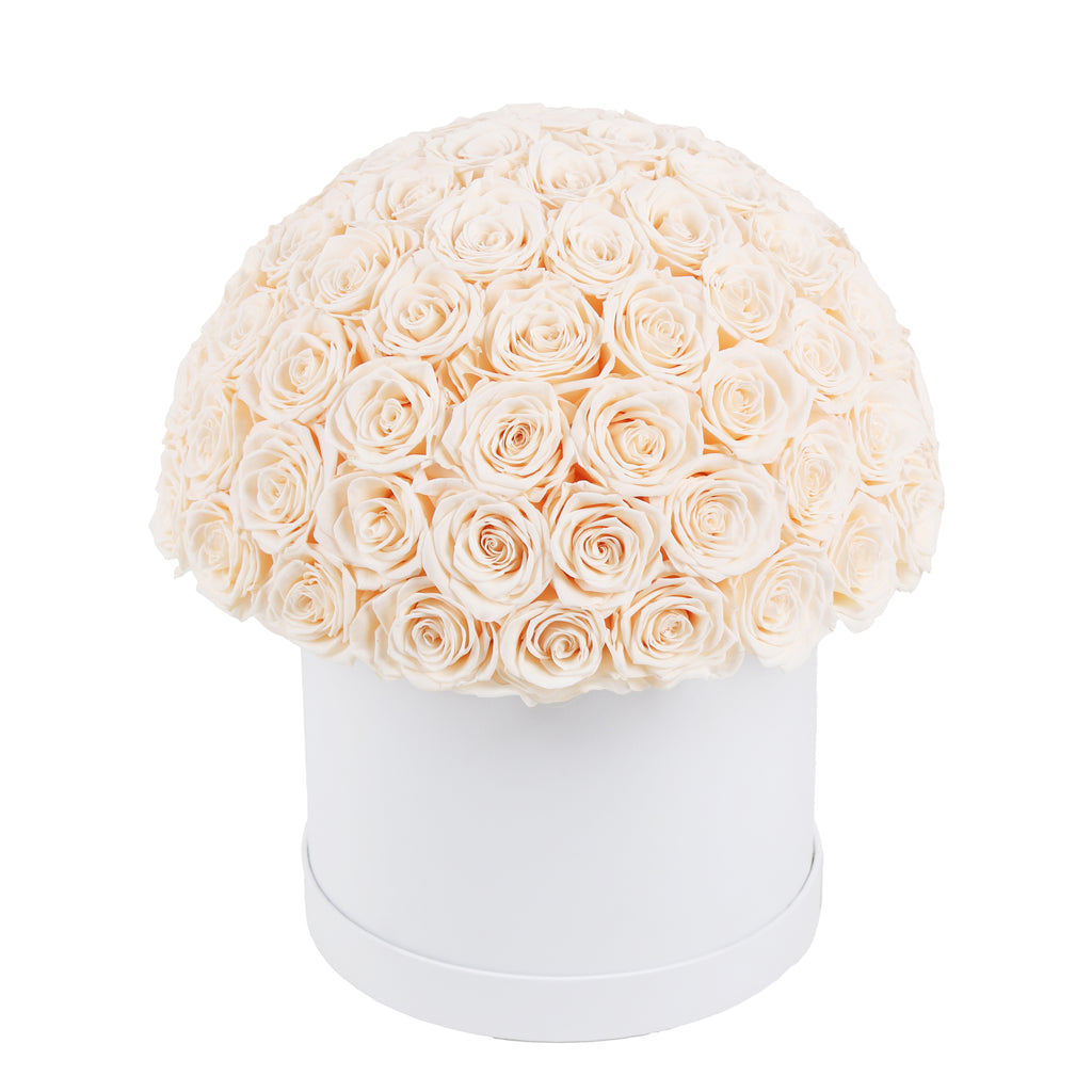 Forever Roses – Luxury Roses That Last for Years