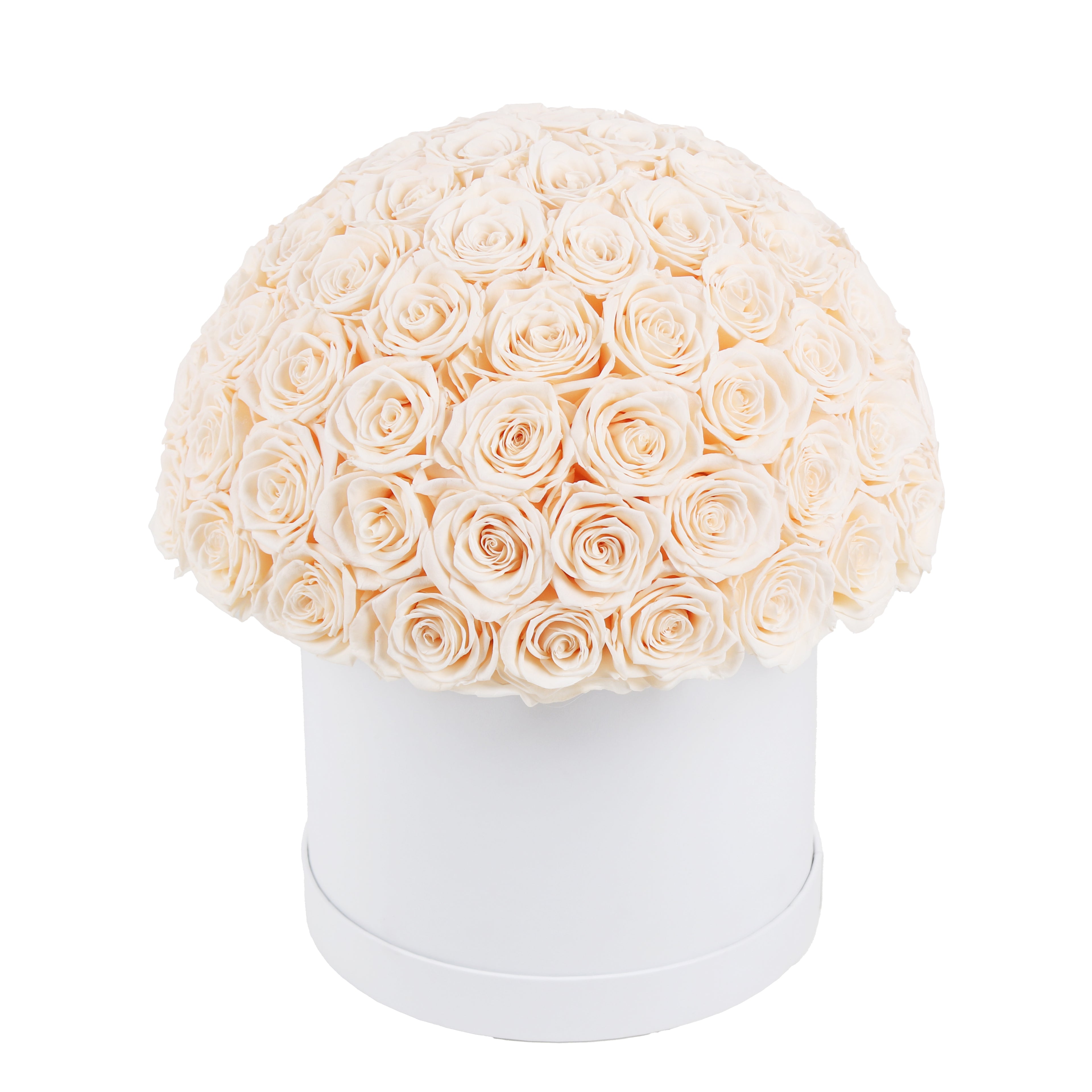 Forever Roses – Luxury Roses That Last for Years